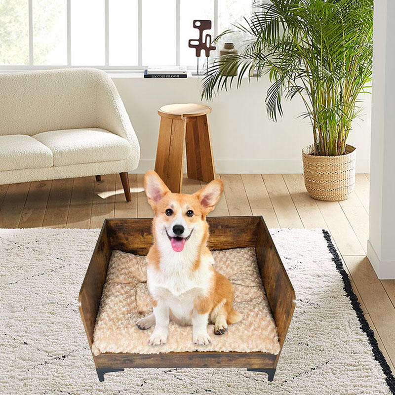 تختخواب سگ داخلی مدرن با قاب تختخواب سگ داخلی مدرن با قاب