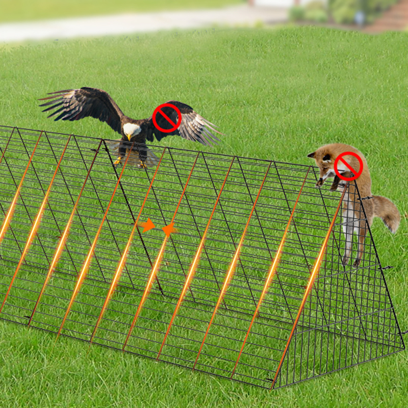 در فضای باز قفس مرغ مرغ اردک بزرگ برای حیاط در فضای باز قفس مرغ مرغ اردک بزرگ برای حیاط