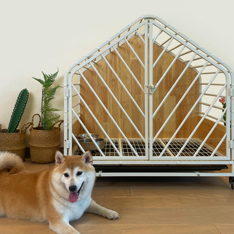 قفس سگ بزرگ استیل داخلی قفس سگ بزرگ استیل داخلی