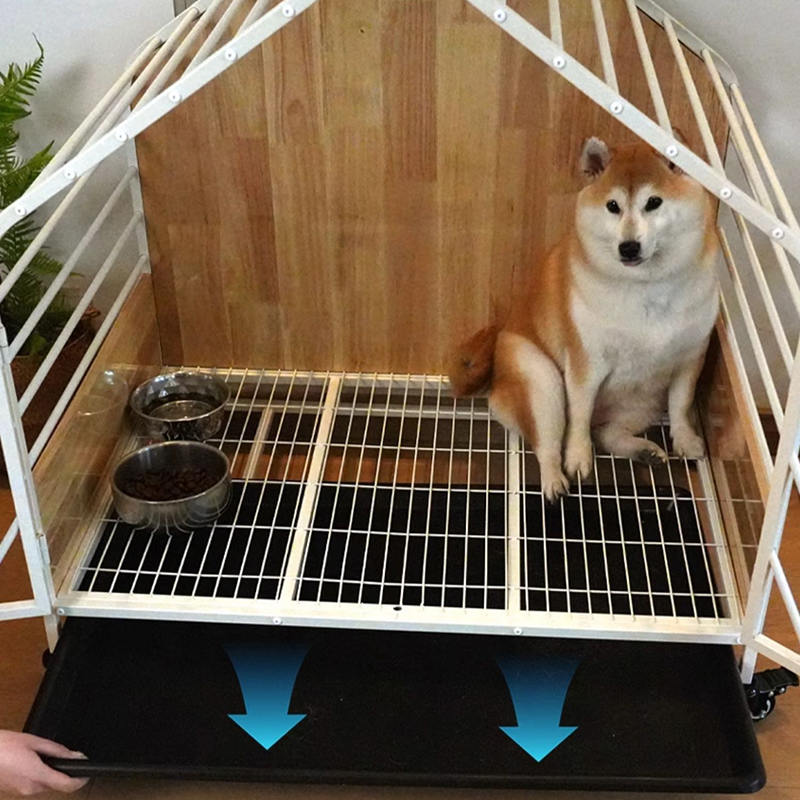 قفس سگ بزرگ استیل داخلی قفس سگ بزرگ استیل داخلی