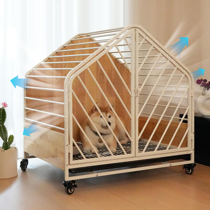 قفس سگ بزرگ استیل داخلی قفس سگ بزرگ استیل داخلی