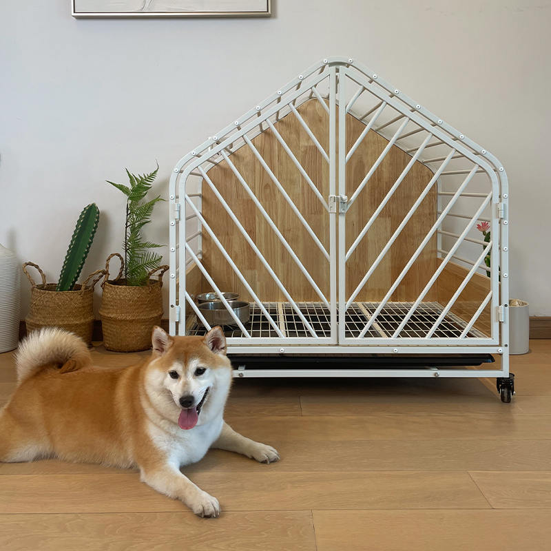 قفس سگ بزرگ استیل داخلی قفس سگ بزرگ استیل داخلی