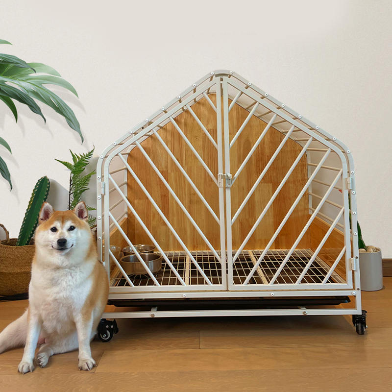 قفس سگ بزرگ استیل داخلی قفس سگ بزرگ استیل داخلی