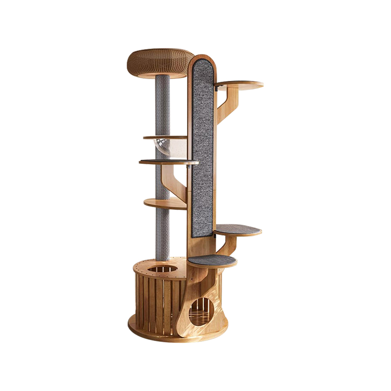 قاب صعود چوب به شکل کاکتوس درخت گربه جامد با کپسول فضایی